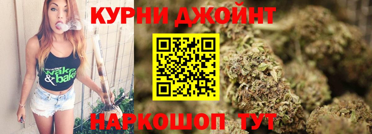 Конопля гибрид Аша